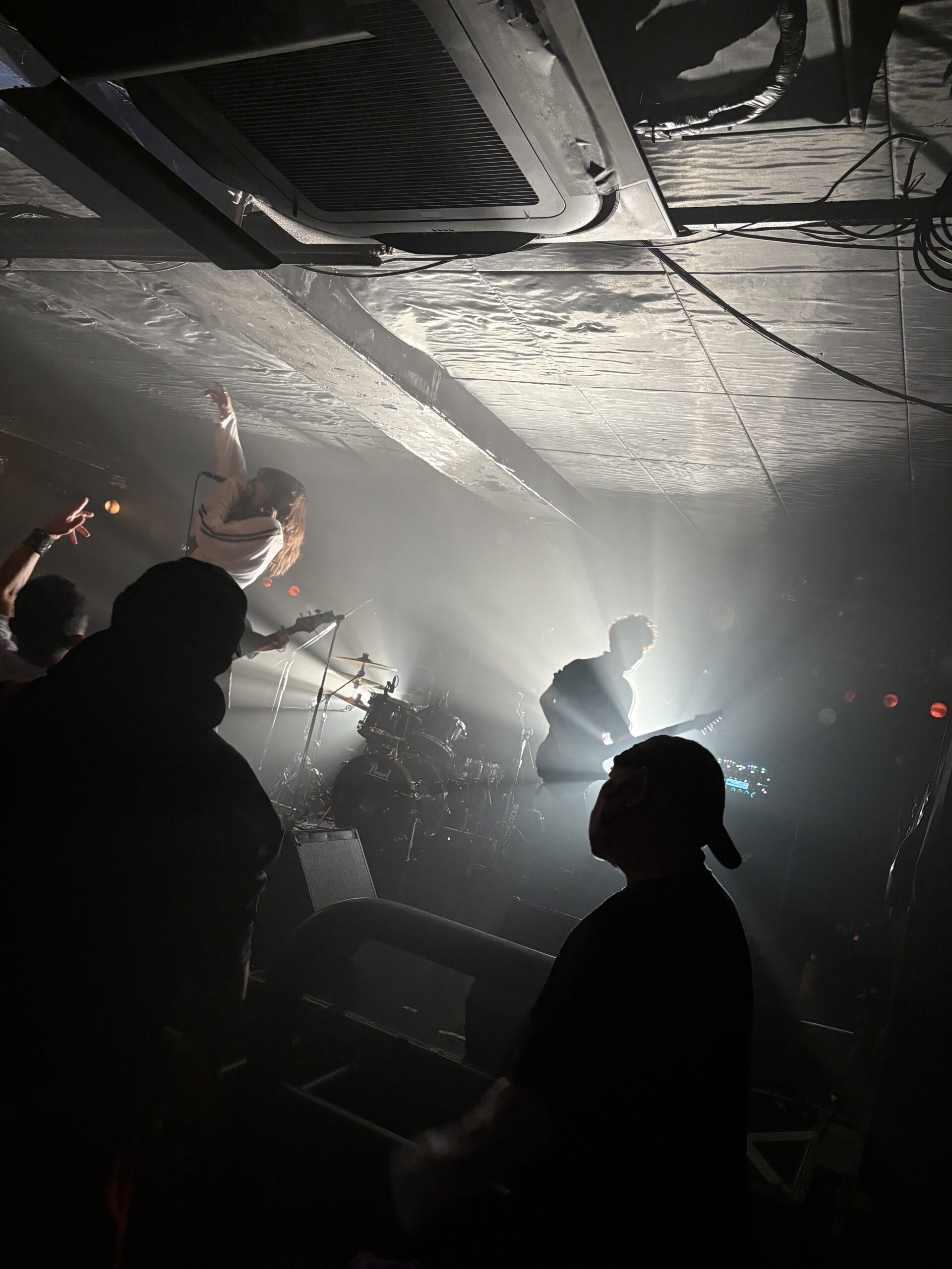 Noctivixってまじすげえ / ライブ分析